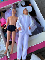 14 Ken & Barbie Dolls