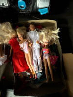 14 Ken & Barbie Dolls