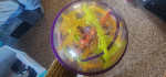 Perplexus ball