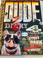 DUDE Diary 4 With Key and Lock. Never been used. FUN!