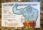 DUDE Diary 4 With Key and Lock. Never been used. FUN!