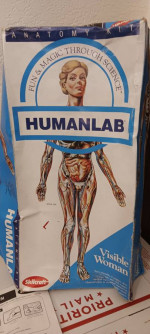Skilcraft Visible Woman Anatomy  Model Kit