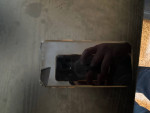 iPhone XS Unlocked 256 GB
