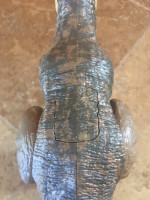 Mattel Jurassic World Tyrannosaurus Rex Action Sounds Figure 21”