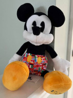 Rare Mickey Epcot Plush with Flags Pants
