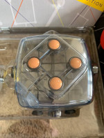 Brain String Puzzle 3-Pack - New!