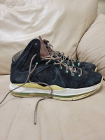 Nike ext 10 LeBron shoes