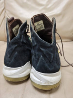 Nike ext 10 LeBron shoes
