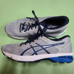 Asics GT-1000 Men's Running Shoes