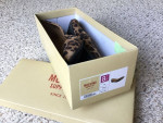 Mossimo Flats Size 8.5 Ballet style shoes