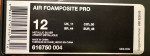 Nike Foamposite Pro Basketball Shoes (Mens size 12)