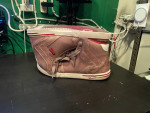 Penguin Shoes Moby Hi Top - size 11 US Mens
