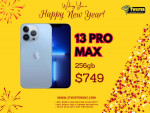 iPhone 13 PRO MAX (256GB)