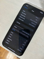 Apple iPhone 12 pro Max (246gb)