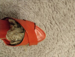 1970s Candie's Shoes Made In Italy