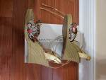 Woman's Shoes