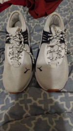 Puma mens shoes