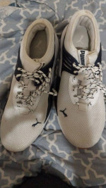 Puma mens shoes
