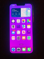 iPhone 13 Pro Max Unlocked