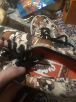 Women's Vans & Converse Shoes Size 6.5
