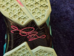 LeBron James Nike tennis shoes