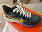 Nike Air Zoom Pegasus 39 Running Shoes (Blue, Men 8)