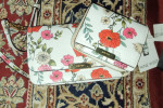 Selling Handful of Authentic Handbags/Shoes