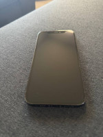 iPhone 12 Pro 256GB (Verizon)