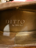 women's shoes Ditto Van Eli