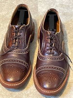 Allen Edmonds Men's Strandmok Oxford Shoes