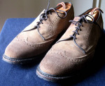 Allen Edmonds Men's Big Sur Brown suede Oxford Wingtip 9 D shoes