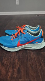 Nike Pegasus Trail 3 Running Shoes