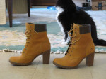 BRAND NEW SHOES