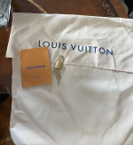 Louis Vuitton speedy bag
