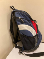 SPEEDO Teamster Swim Bag Backpack 25L