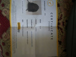 NWT Fendi Designer Gray Leather Women's Backpack Bag