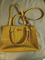 Brahmin Green Shoulder bag/purse.