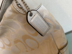 Coach Signature Small Tote Bag D06K-10142