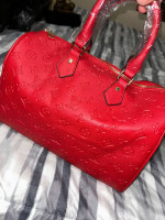 LV hand bag /purse