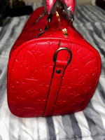 LV hand bag /purse