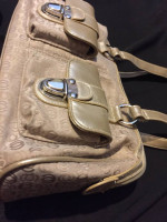 Shoulder or Hand Bag