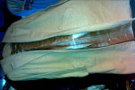 All Quality New or As New garment bag quality items 100.for all
