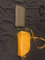 Steve Madden Designer Purse’s