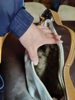 Authentic Coach under arm bag (material is hide)