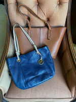 Designer Handbag & Luxury Bag