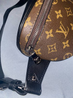 Louis Vuitton LV Fanny Pack Bum Messenger Bag