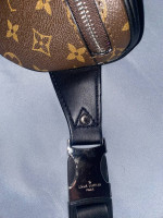 Louis Vuitton LV Fanny Pack Bum Messenger Bag