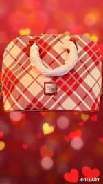 Dooney & Bourke Bag