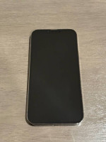 iPhone 13 Pro Max 256GB