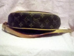 Louis Vuitton Monogram Loop Bag